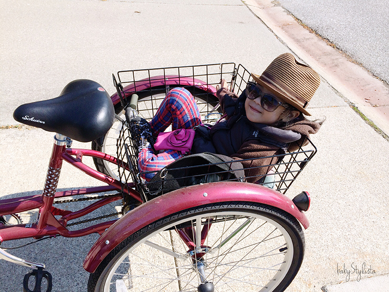 bike with basket for baby