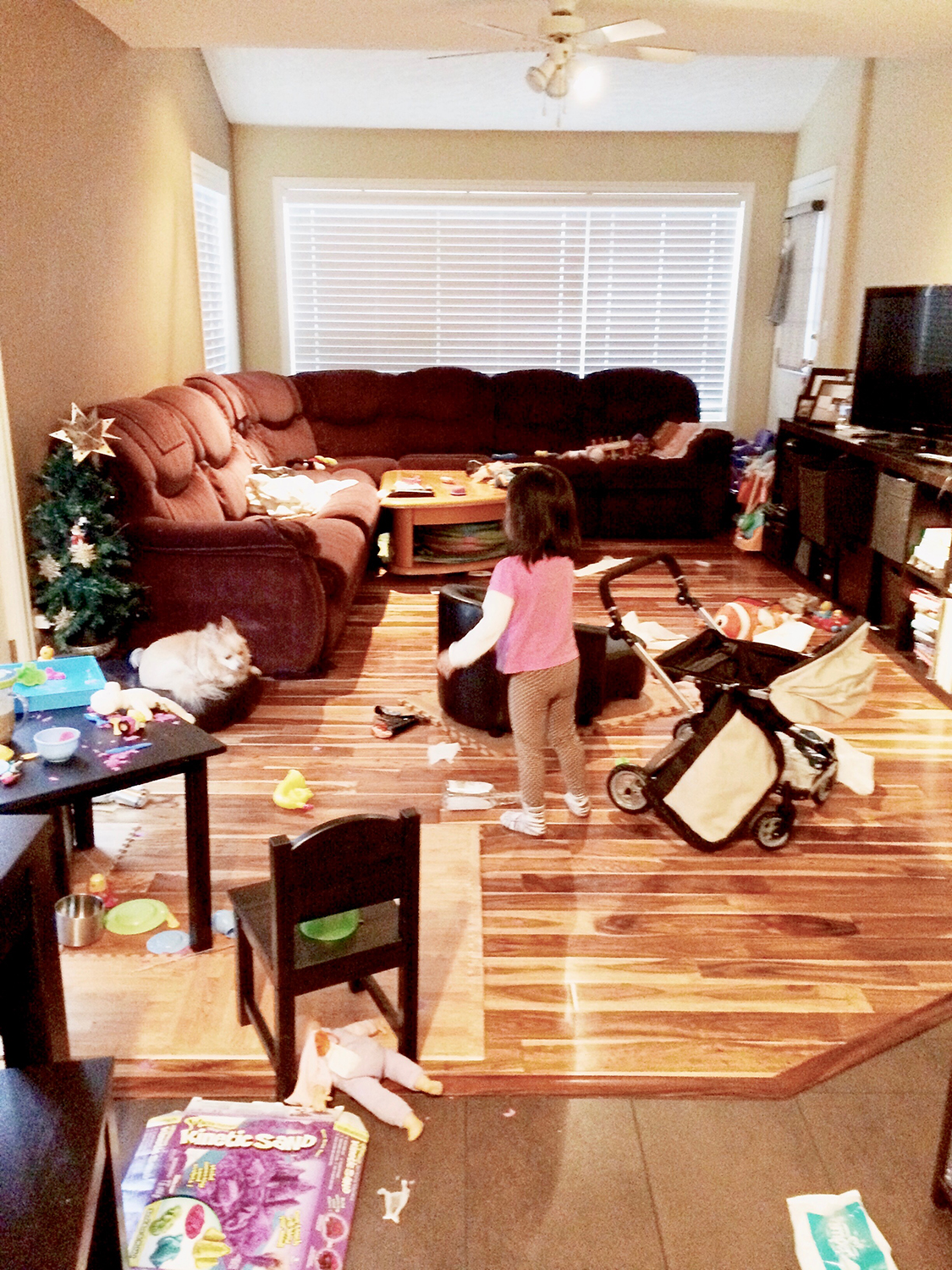 Family Room Makeover :: How Changing My Home Changed My Life www.sassandsmalls.com